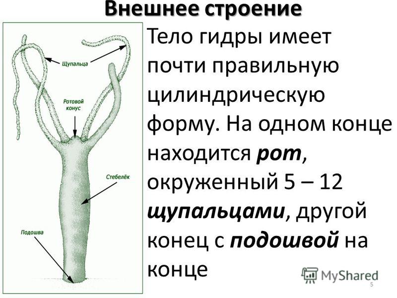 Kraken наркотики сайт